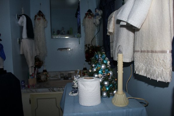 New Camera Dec2010 199